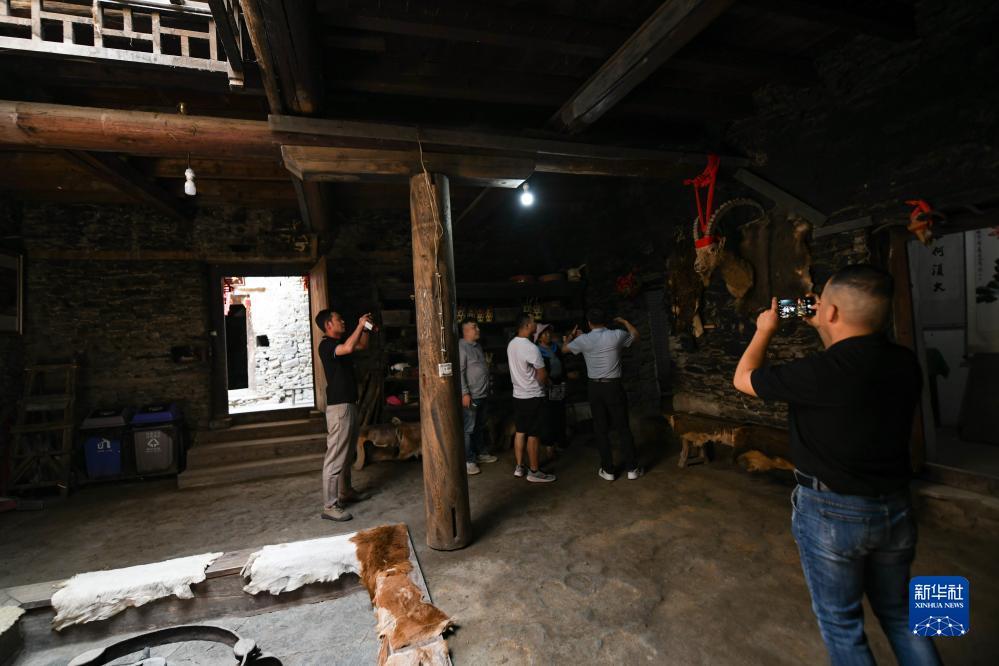 百人森林舞会